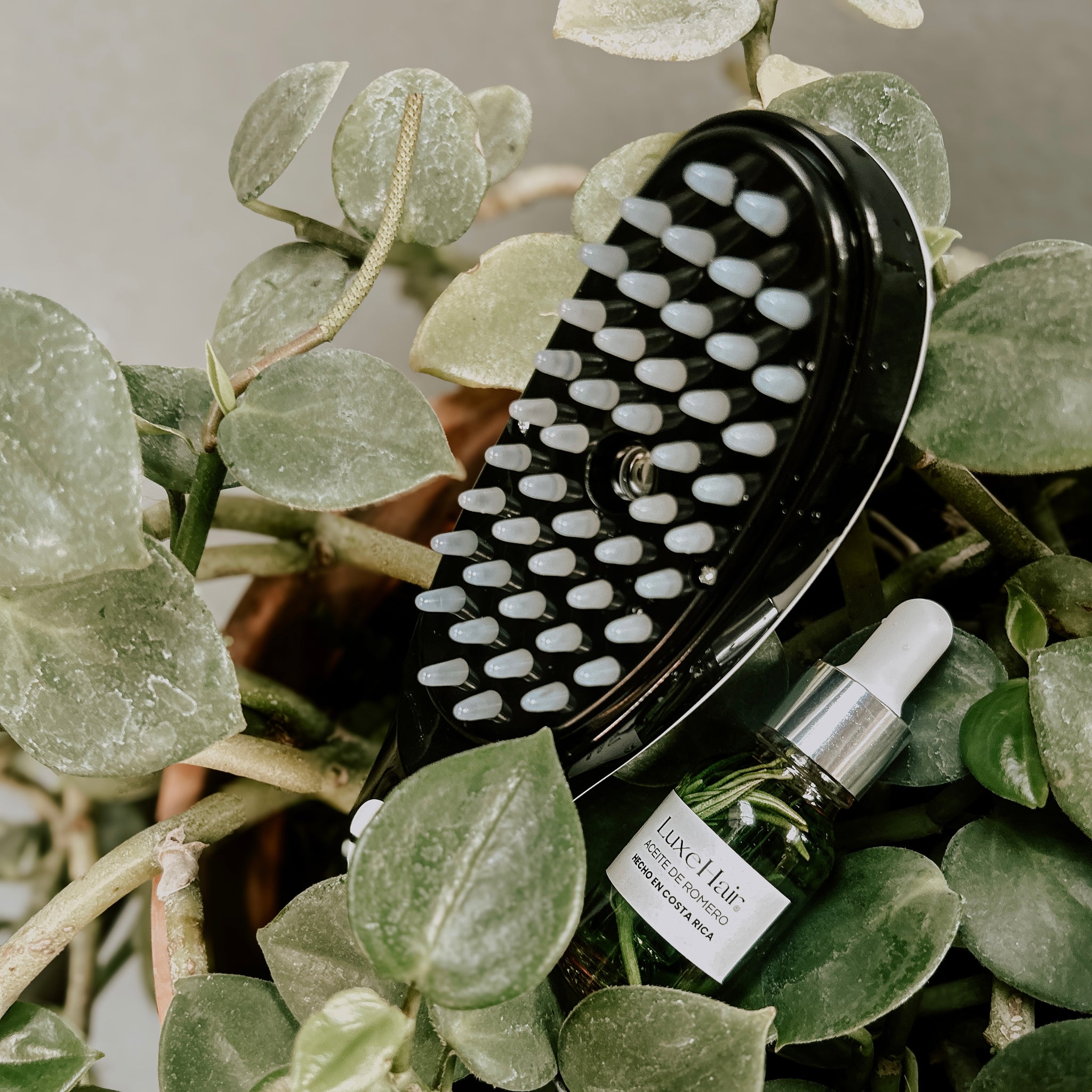LuxeHair® - Cepillo de Vapor Masajeador Capilar para el Cabello