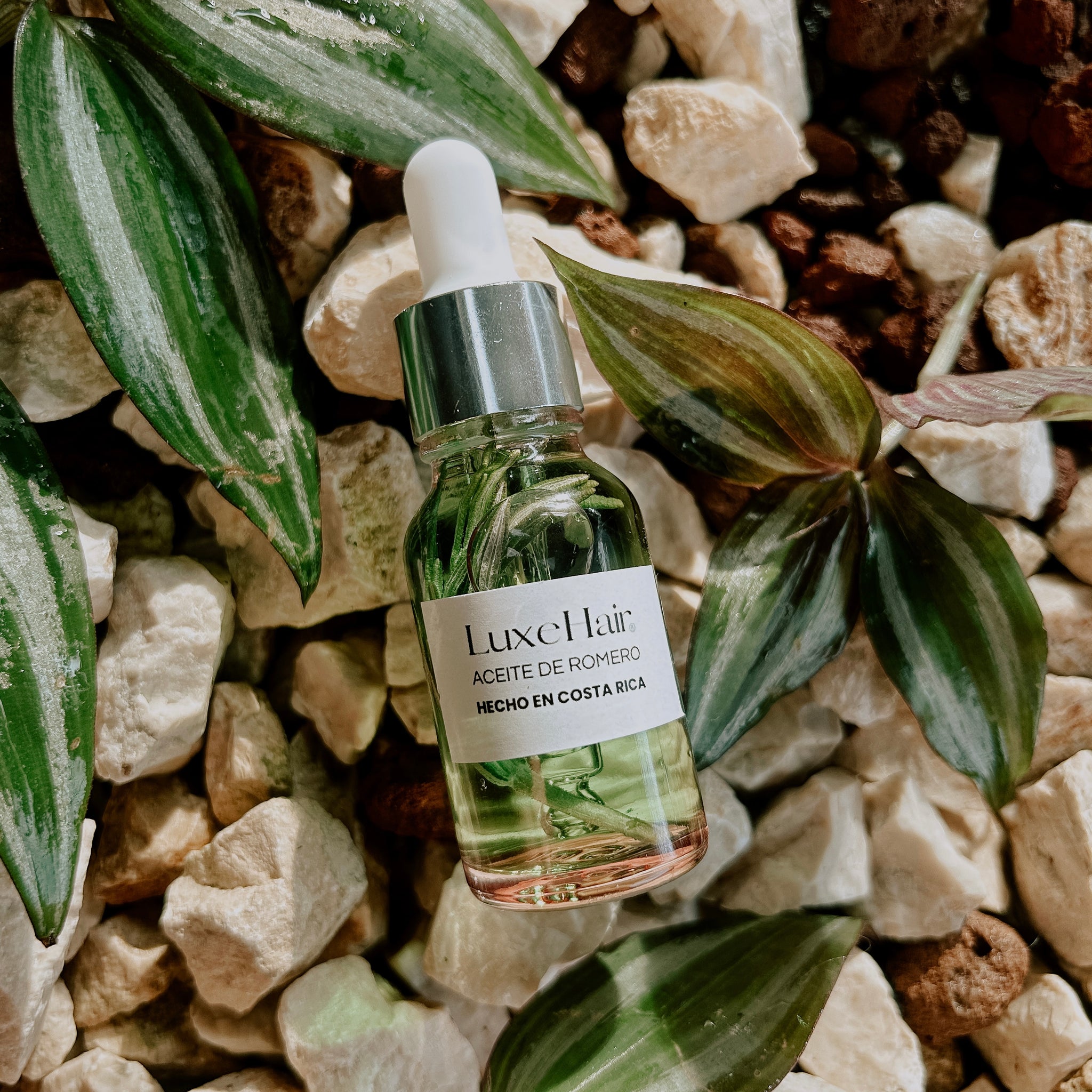 LuxeHair® - Cepillo de Vapor Masajeador Capilar para el Cabello